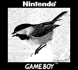 A chickadee